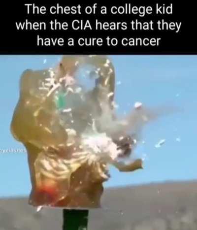 CIA (Cock in Ass) is not cool :(