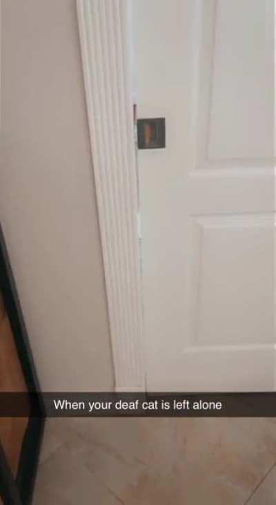 Deaf baby. At the end she’s like “oh there you are mom!”