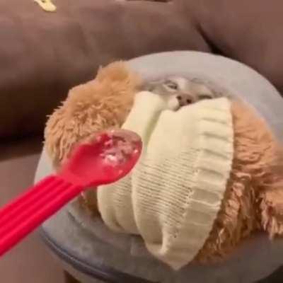 Eu tô morrendo alguém me ajuda