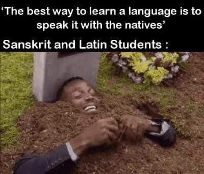 My Genius... It's almost frightening