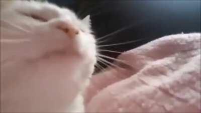 a to the l to the e x ander