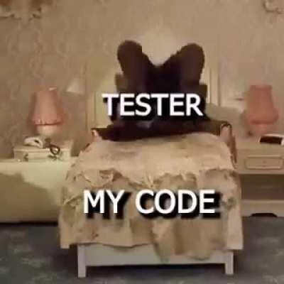 That's why programmers hate testers.