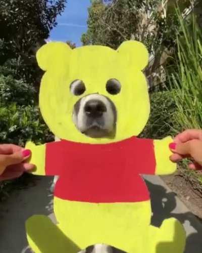 Boop-boop, boops everytime!