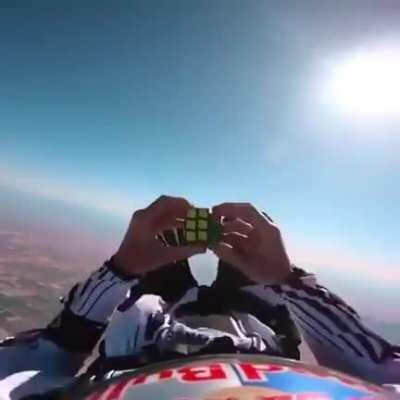 The pinacle of human life is this right here.