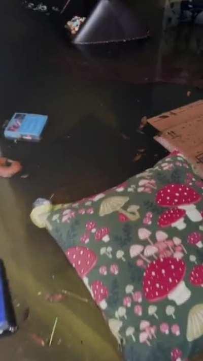 Hurricane Ian killed my apartment