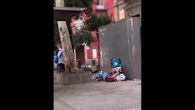 DOKKAN & LEGENDS IN A NUTSHELL