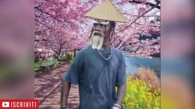 Taraviz escote elositotravieso2000