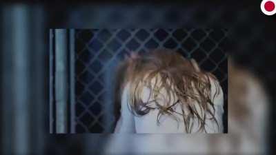 Not exactly sure what's being advertised