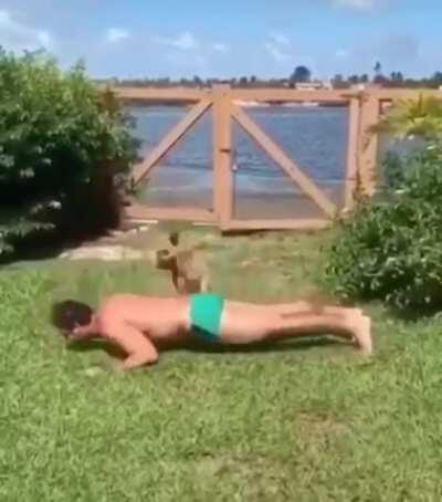 Awwwww the puppy wants to help!