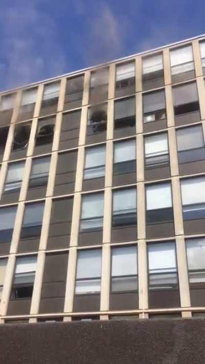 Cat Jumps Out Of A 6 Story Building On Fire... bounces and walks away