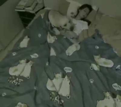 Quit hogging the blanket.