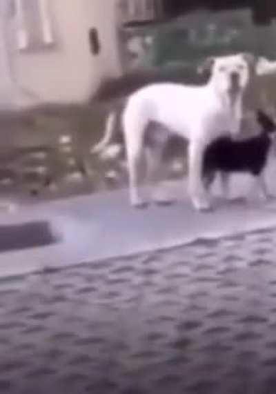 This is insane cock blockin 😂😂😂