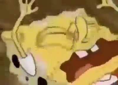 spongbub