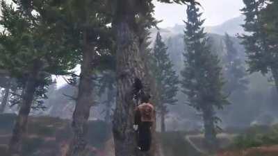 someone jokingly asking me to drive up a tree so here it is :)