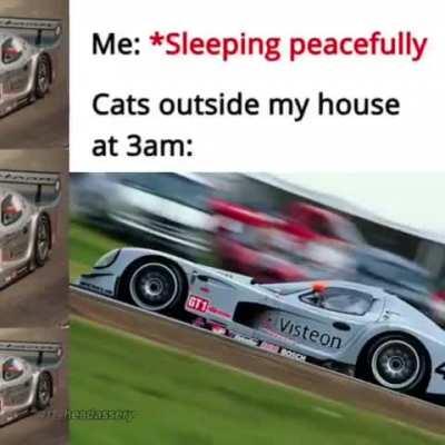 Mi panoz esperante gtr1 reaccion