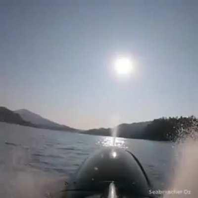 Seabreacher - The Jet Powered Dolphin