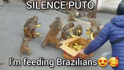 act of solidarity 🇧🇷🇧🇷🥰 c=