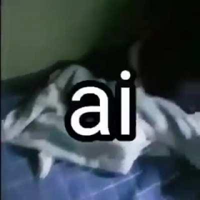 A casa caiu pro tortuguita