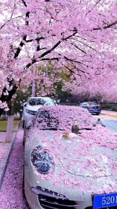 Not my video, but had to post it here.