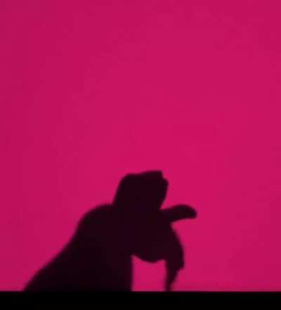 Shadows dropping Tea