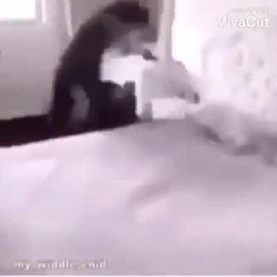 Gayreek waking up next to his Turgay partner