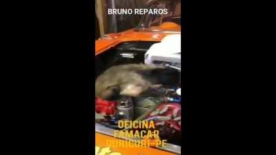 Corre lá ta em promoção !!!😃😃👍🐵