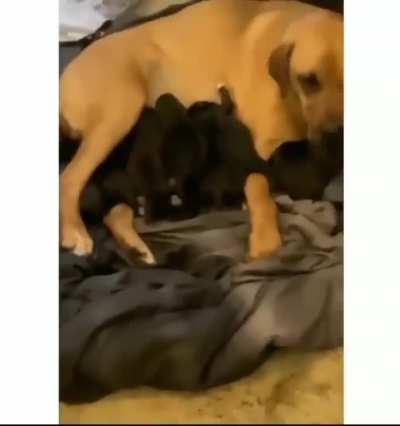 she have some explaining to do