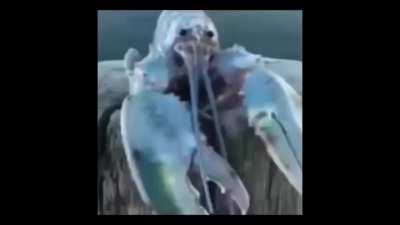 Bro Tip #80, i made this one just for you :)