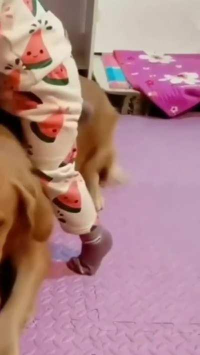 Bro those two are going to be best friends forever