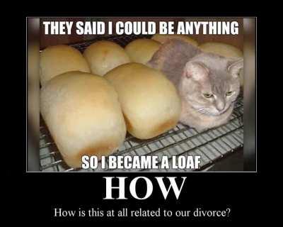 bread cat moment1!!!