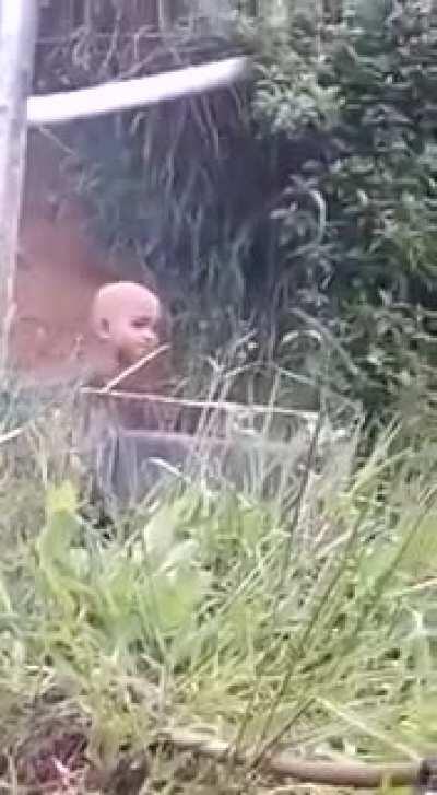 Cofoi Diego filho do ayel