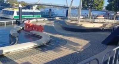 Elizabeth quay shenanigans