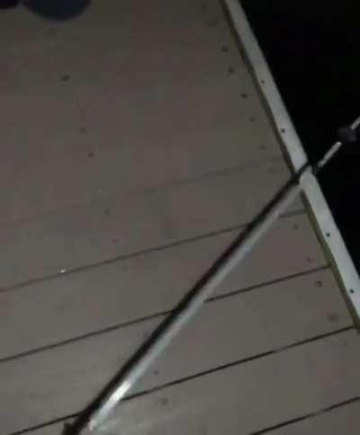 WCGW holding a stingray