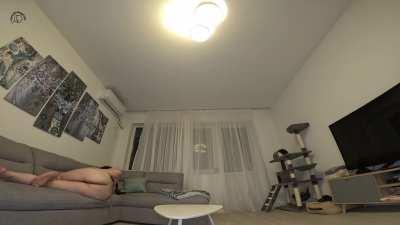 Leather-Harness Girl Lets Out a Loud Set of Farts while on the Couch