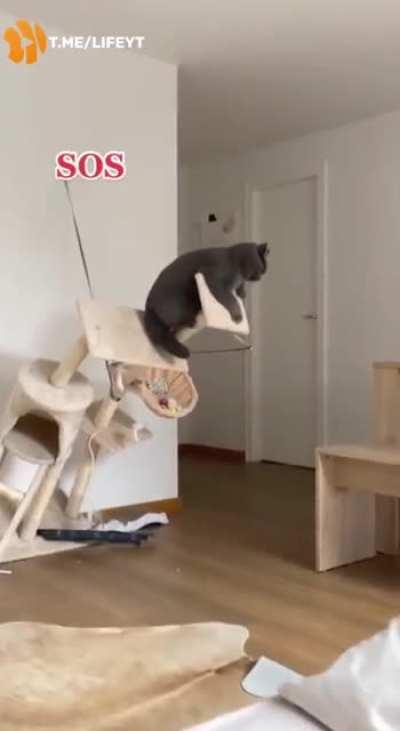 Regular situation 😉😅😂