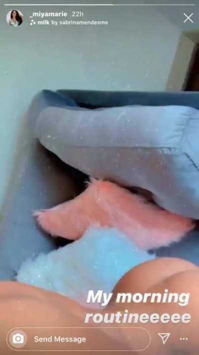 A lil taste of the personal collection 😭