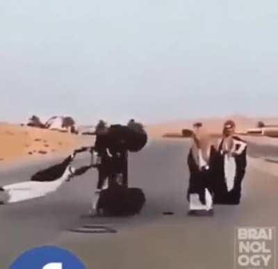 They're all dead by now, right?