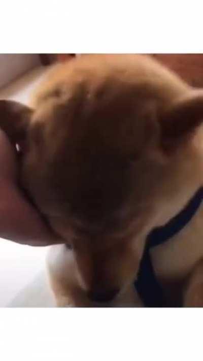 Azıcık gününüz güzelleşsin orospu çocukları