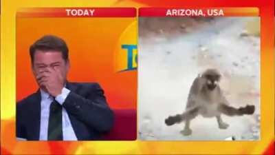 Reporter sees googas for the first time