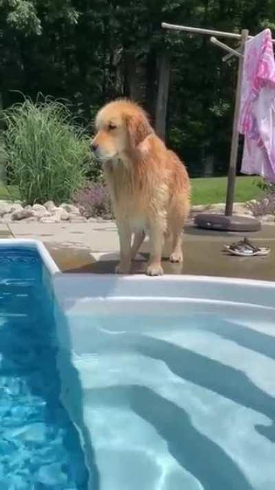 Why Did You Do This.