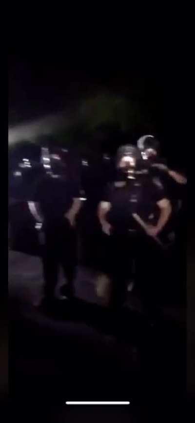 An army of police officers defending the house of the cop that killed George floyd.