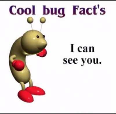 Thanks I hate bug facts