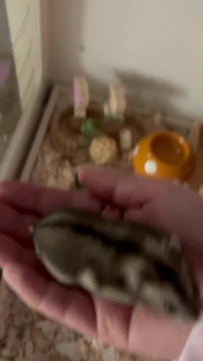 good sign of progress?