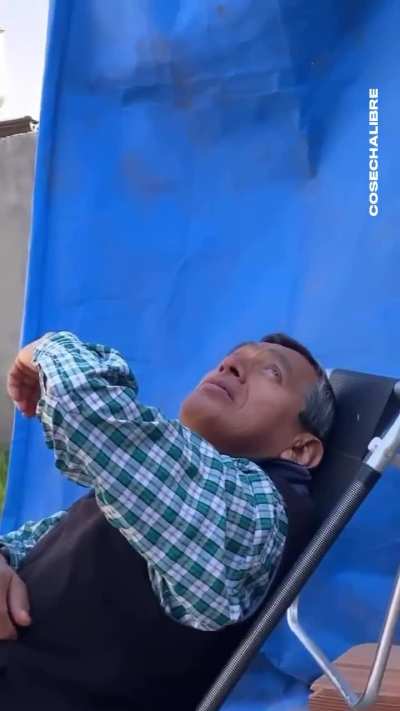 Como sacar los dolores al nono en dos patadas