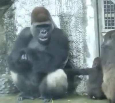 ✨💞A loving touch💞✨