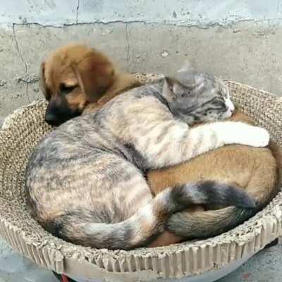 Oh this pillow is so soft