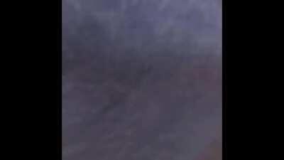 Mohammad commits grand theft auto