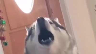 Brooding and soulful; contemplating the past year and now looking to the future...