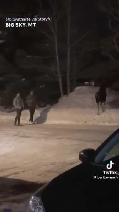 Goose a moose and get what you deserve.