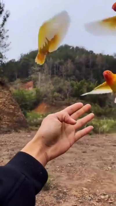 How beautiful is that ❤️